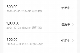 新晃新晃讨债公司服务